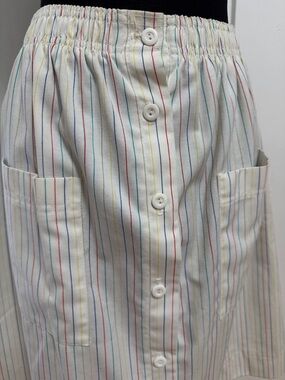 Vintage Rainbow Striped Button-Front A-Line Skirt